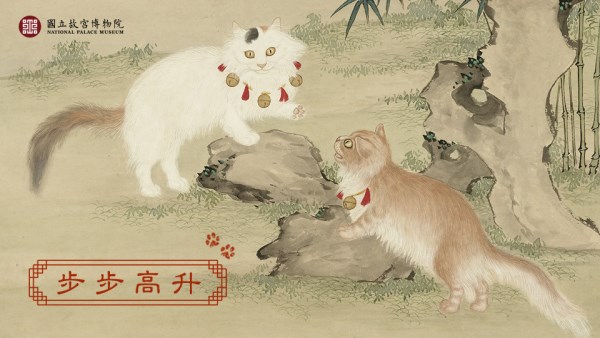 步步高升