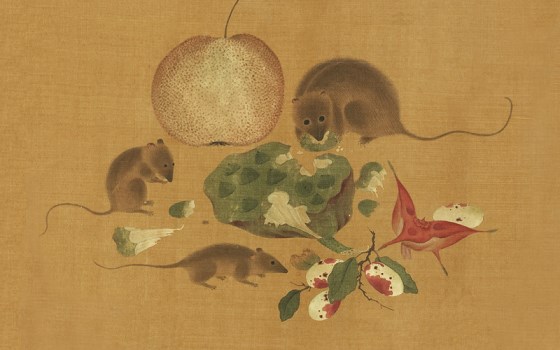 鼠年系列 05