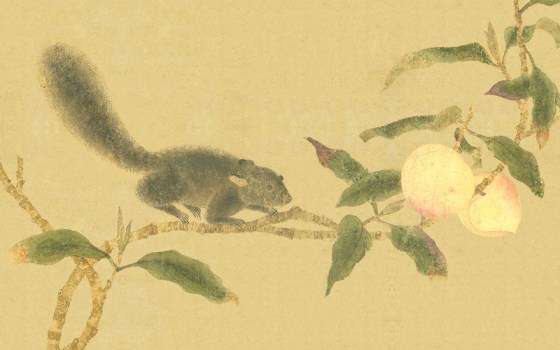 鼠年系列 04