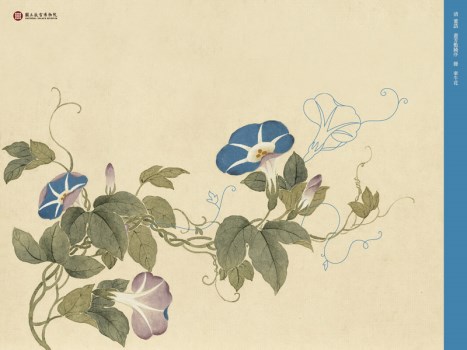 바탕화면 04