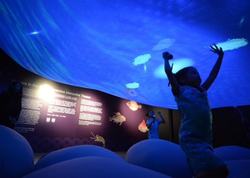 Up the River During Qingming—NPM New Media Art Exhibition