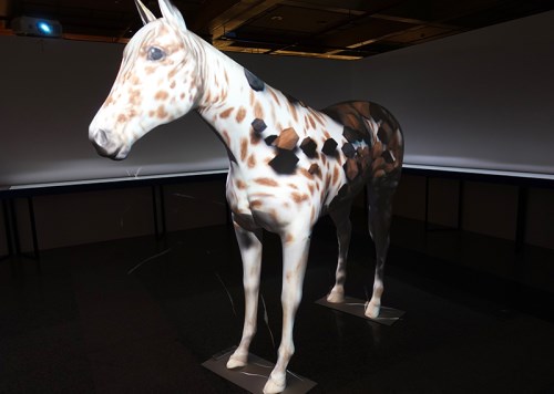 ANiMAL-Art Science Nature Society