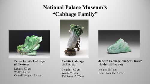 NPM’s “Cabbage Family”