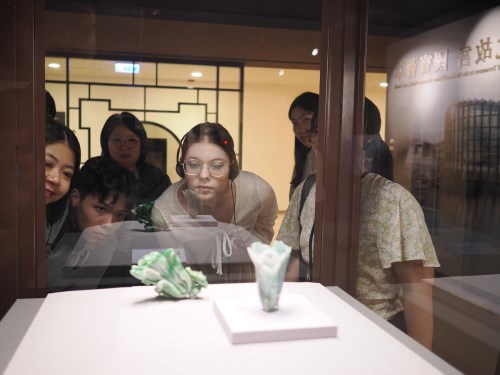 國際學生參觀正展出中的翠玉小白菜。